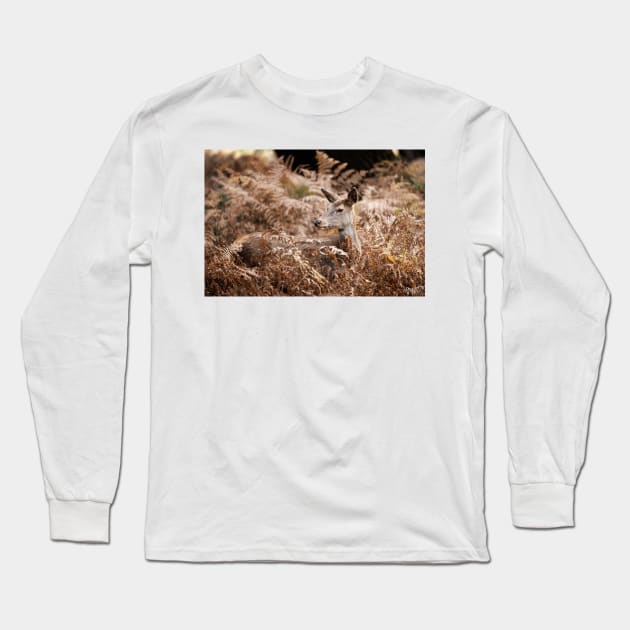 Red Deer Doe Resting in Bracken Long Sleeve T-Shirt by GrahamPrentice